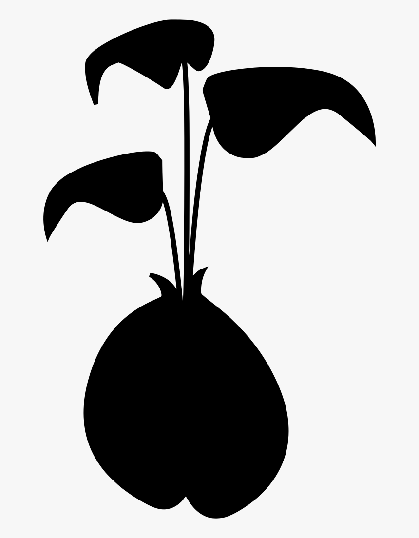 Sprouting Bean Clipart Transparent , Png Download - Clip Art, Png Download