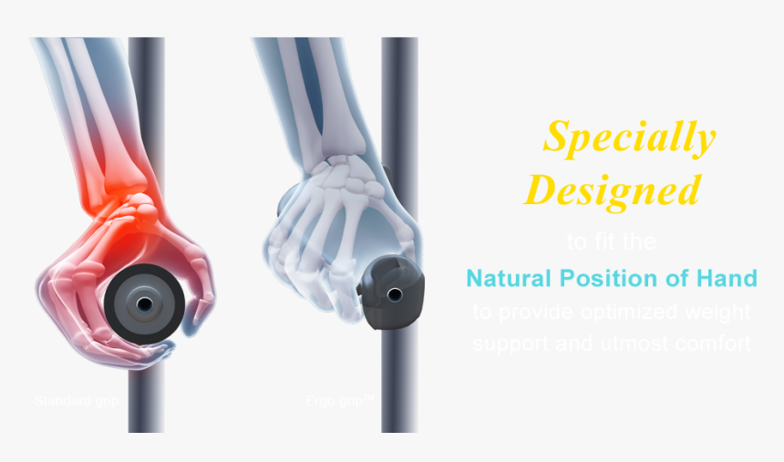 Bone, HD Png Download