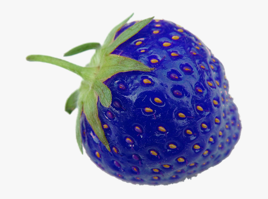 Blue Pineberry, HD Png Download