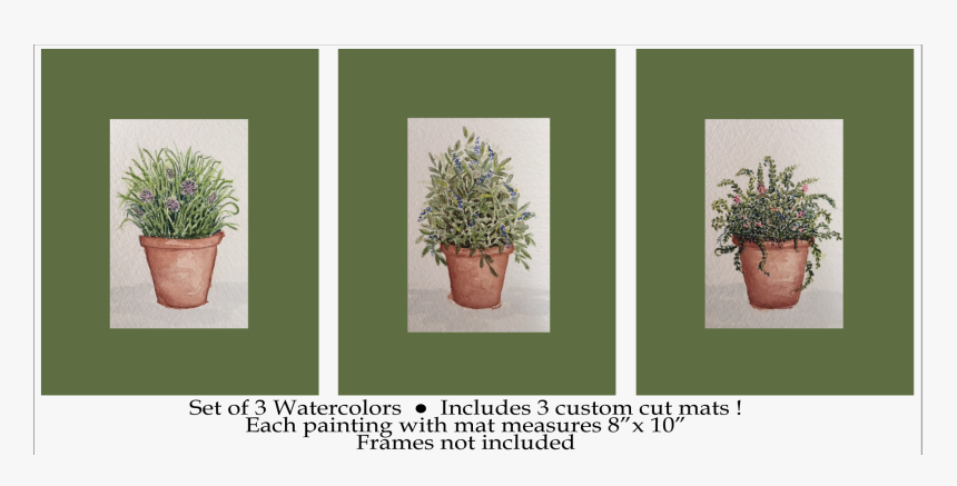 Shrub Png Plan, Transparent Png