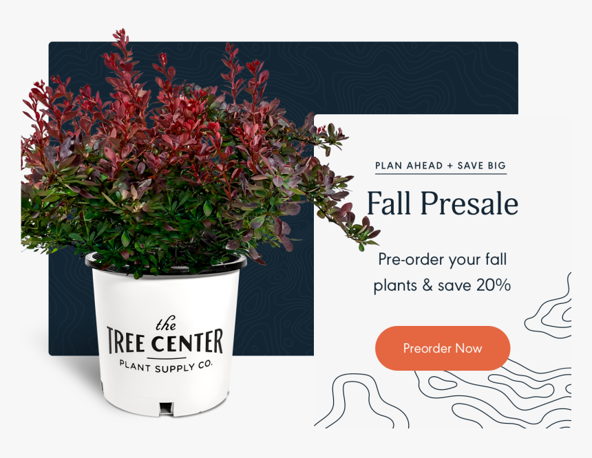 Flowerpot, HD Png Download