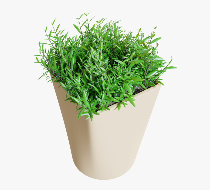 Flowerpot, HD Png Download