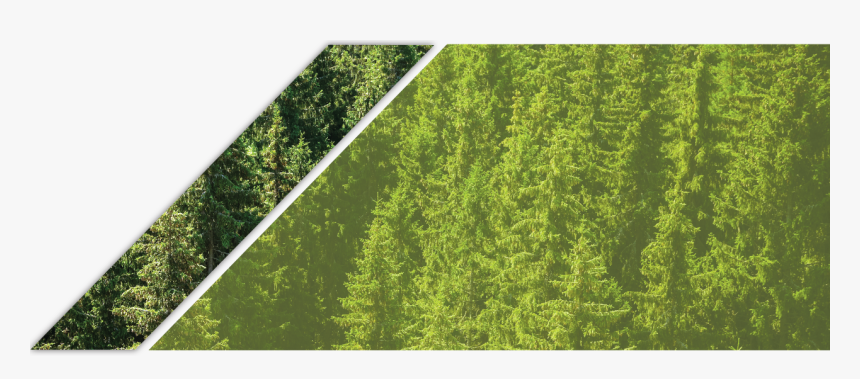 Lawn, HD Png Download