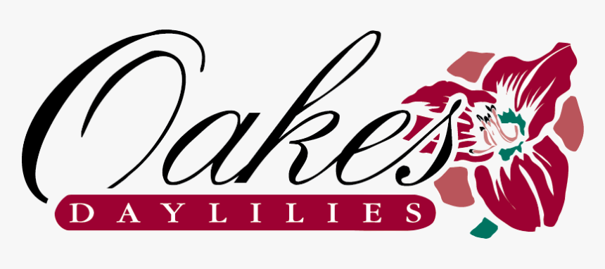 Calligraphy, HD Png Download