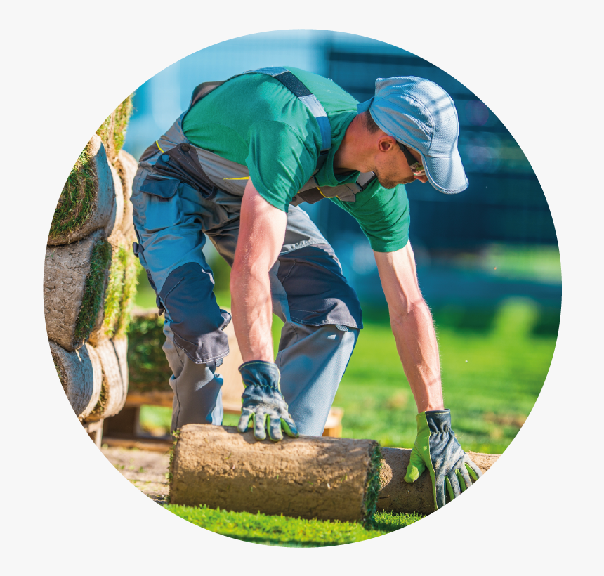 Garden Workers Cutting Grass, HD Png Download