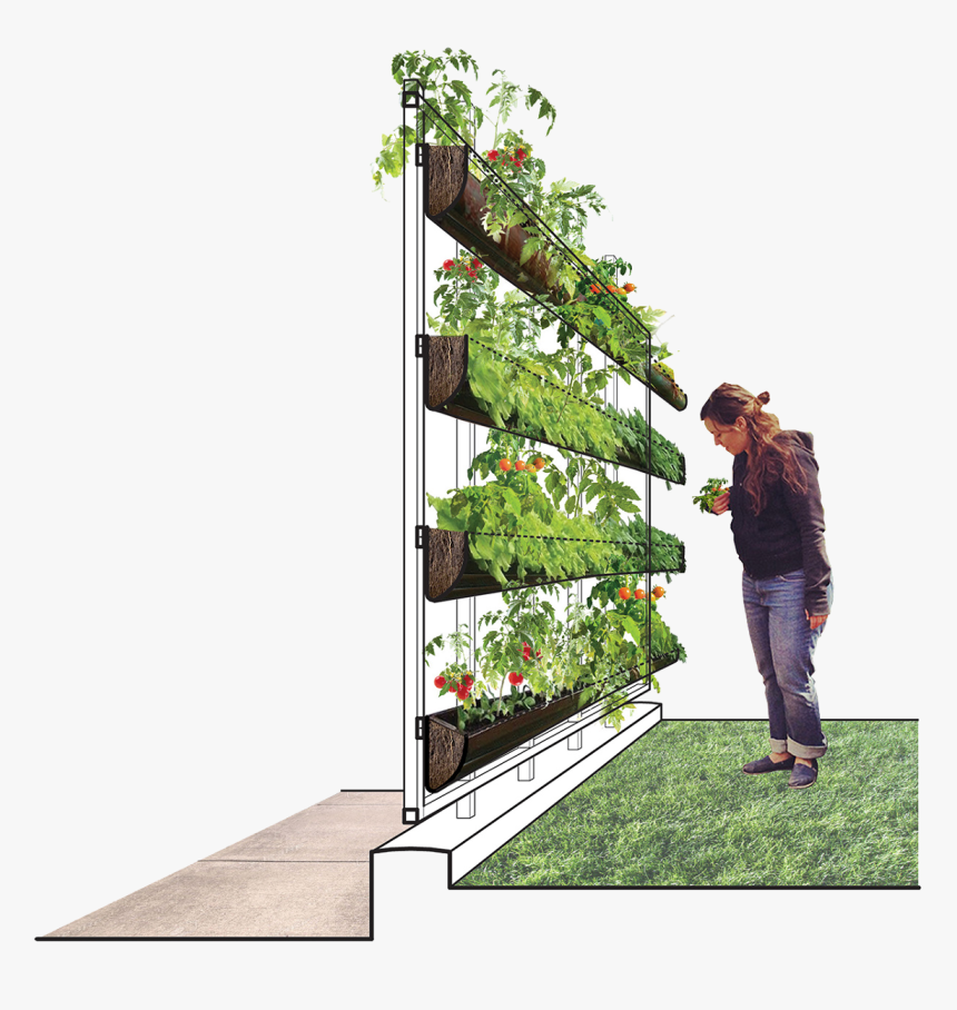 School Landscape Design Competition, HD Png Download