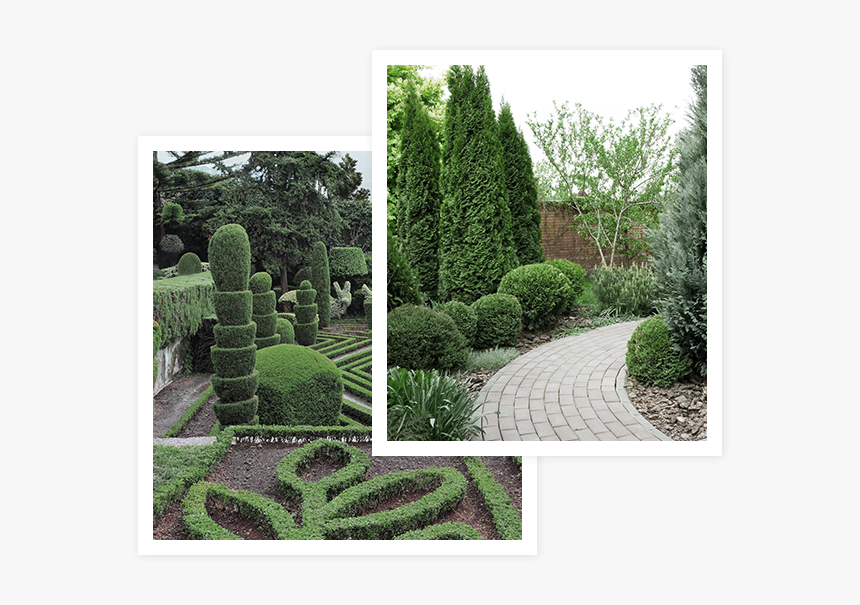 Stock Photography, HD Png Download