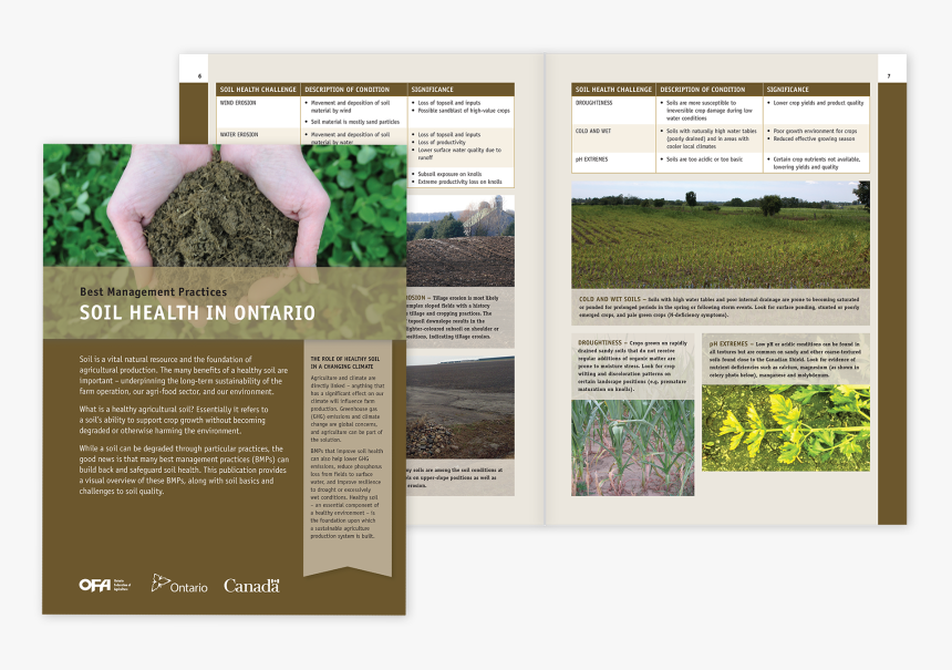 Brochure, HD Png Download