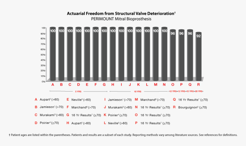 Exceptional Long-term Durability - Perimount Magna Mitral Valve Size Chart, HD Png Download