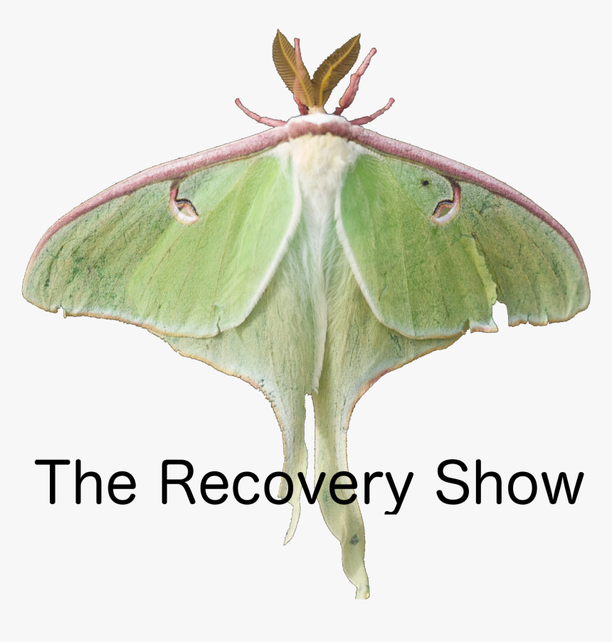 The Recovery Show - Recovery Show Podcast, HD Png Download