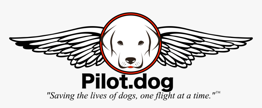 Basketball Ball With Wings, HD Png Download