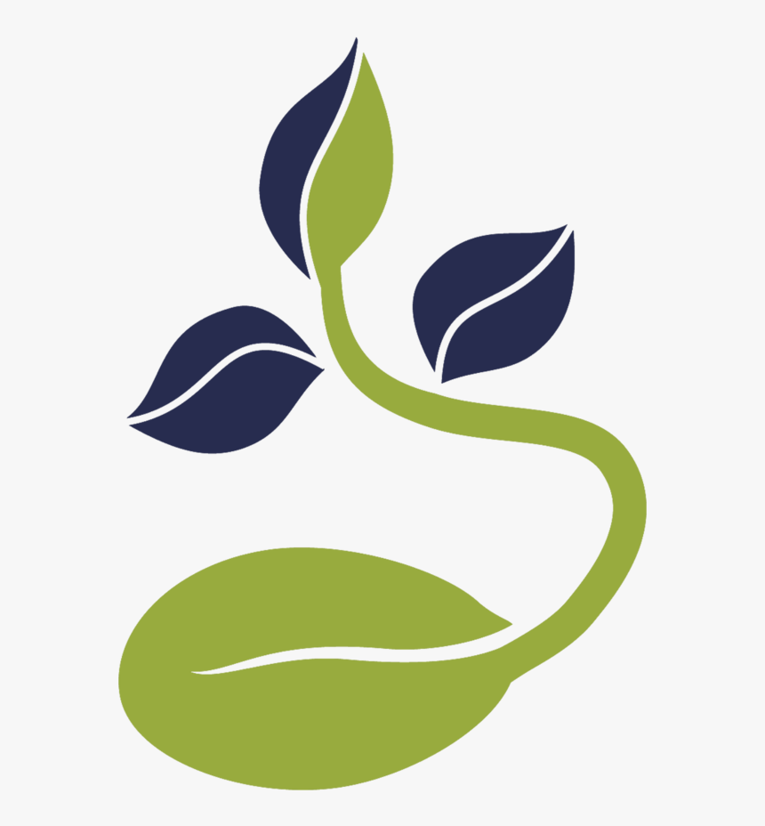 Graphic Design, HD Png Download