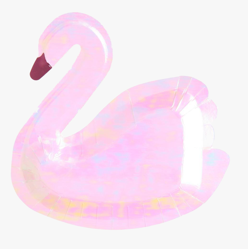 Παρτυ Κυκνοσ, HD Png Download