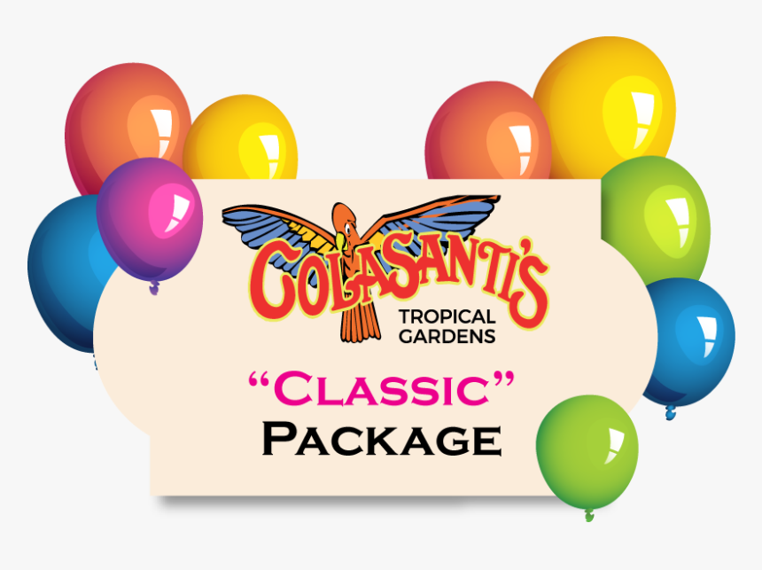 Birthday Party Activity Card Colasantis - Graphic Design, HD Png Download
