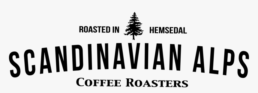 Christmas Tree, HD Png Download