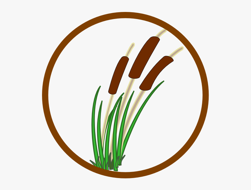 Improvement Clipart - Marsh Clipart, HD Png Download