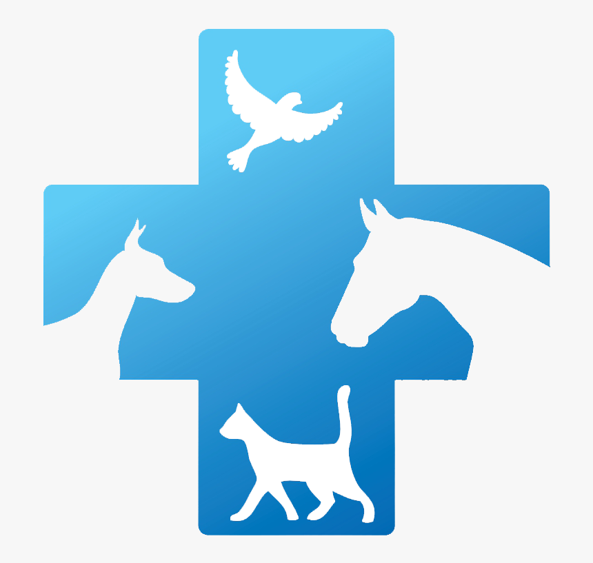 Veterinary Doctor Logo , Transparent Cartoons - Veterinary Doctor Logo, HD Png Download