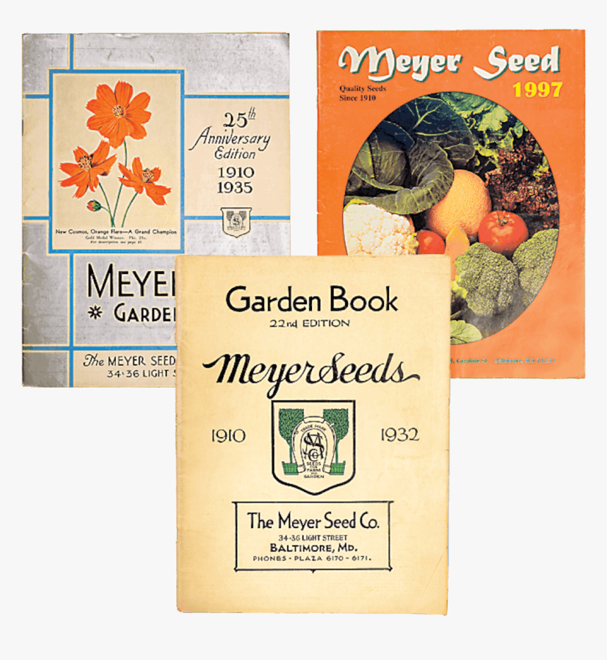 Floral Design, HD Png Download