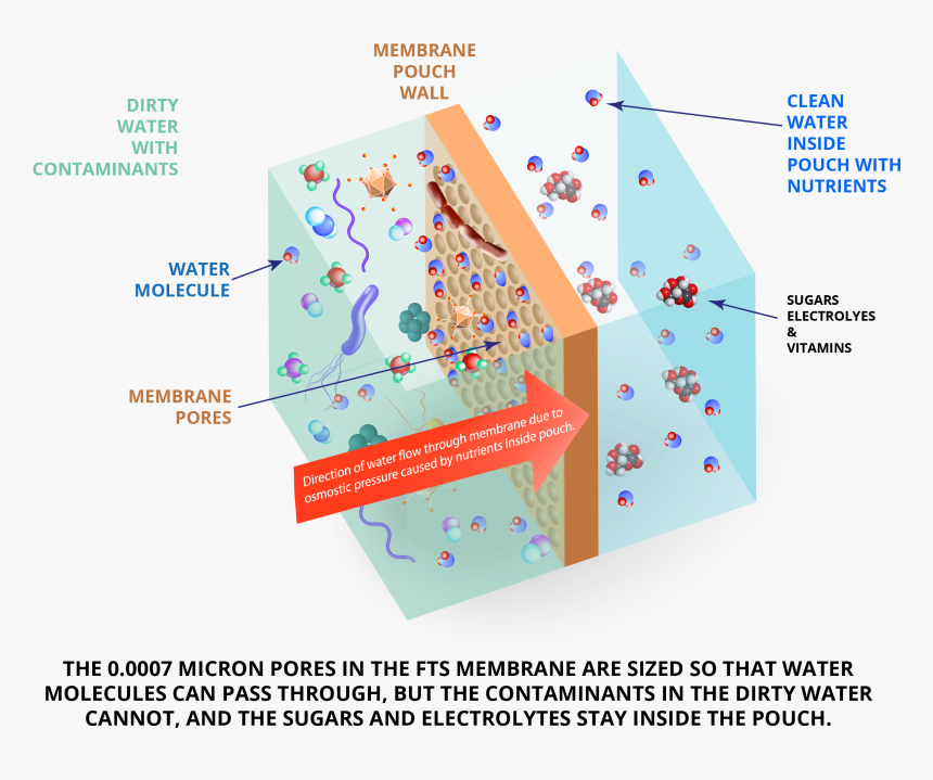 Graphic Design, HD Png Download