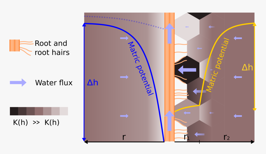 Diagram, HD Png Download
