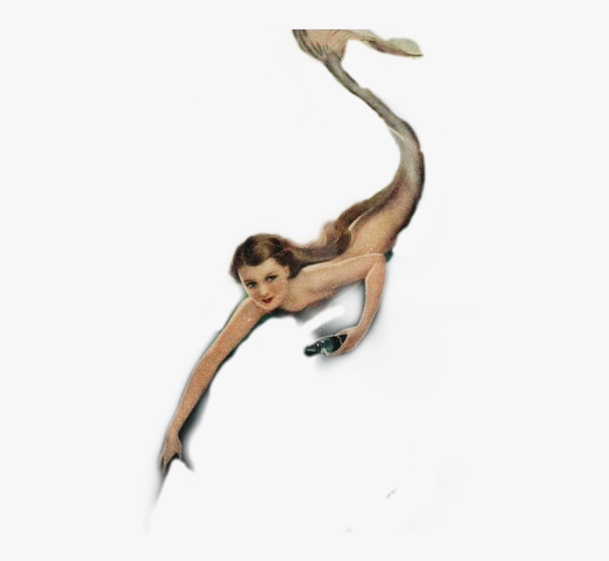 Transparent Vintage Mermaid Clipart - Spider Monkey, HD Png Download