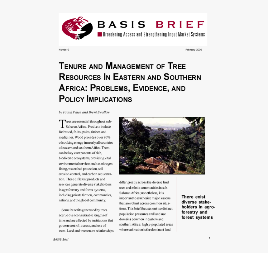 Tree, HD Png Download