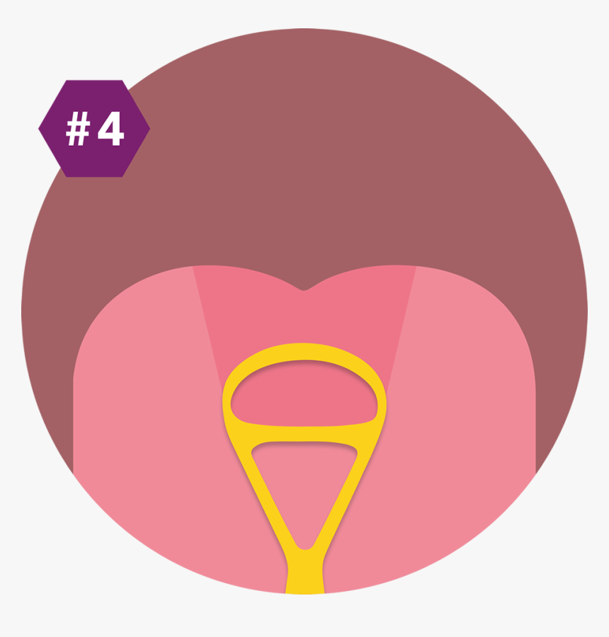 Causeway Dental Cosmetic Dentist, HD Png Download