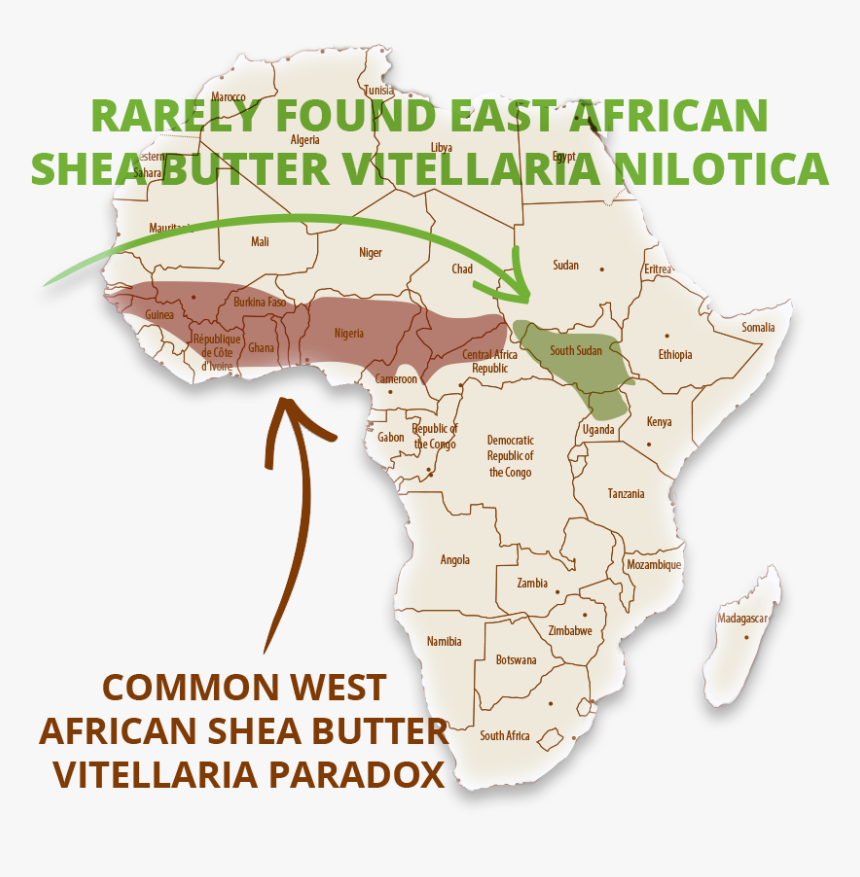 East African Shea Butter - Señales Preventivas, HD Png Download