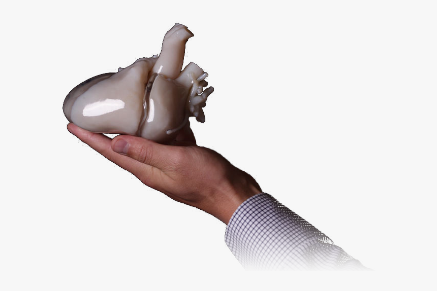 Chocolate, HD Png Download