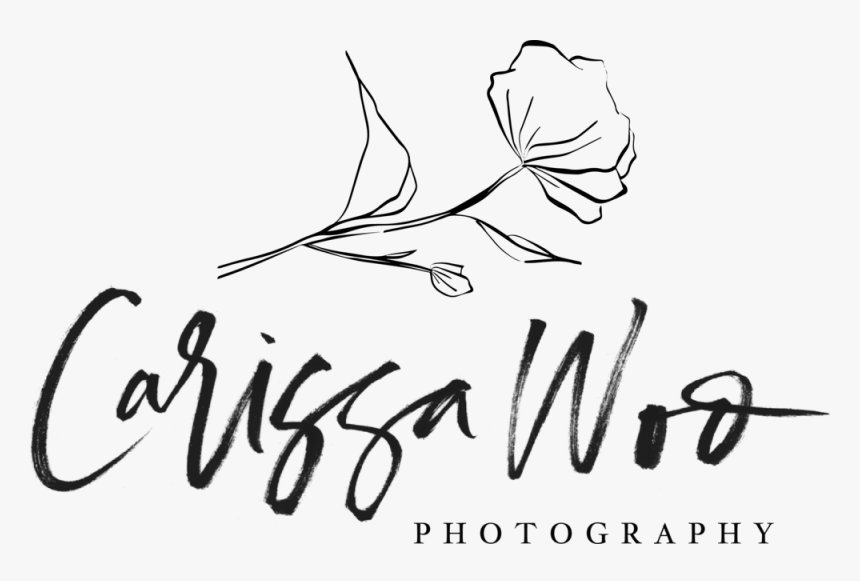 Thousand Sunny Png, Transparent Png