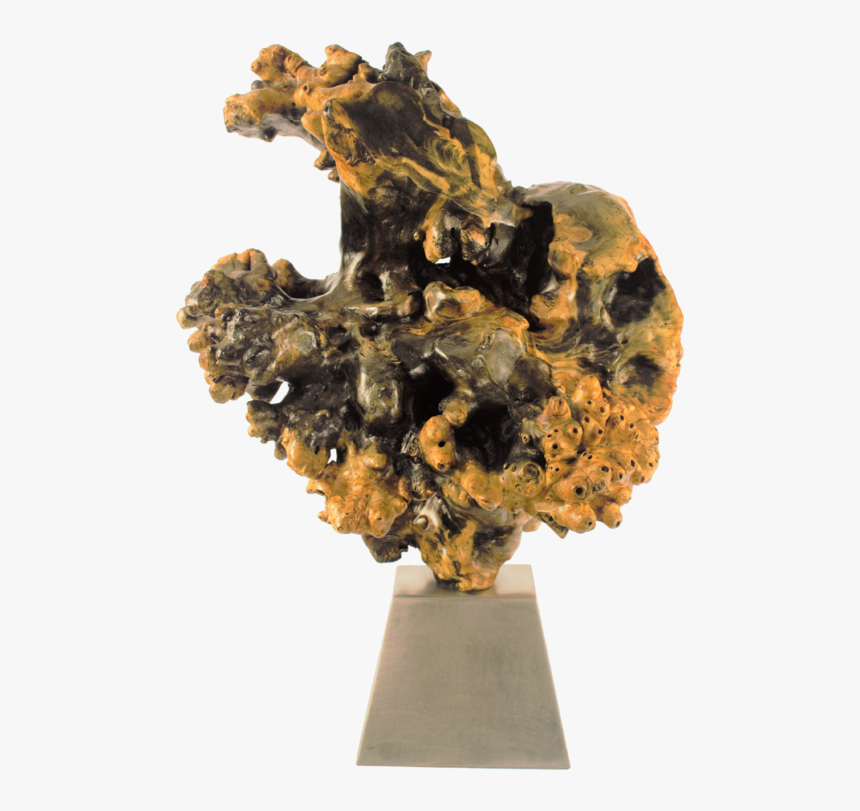 Cranium Nebula Chris Itsell - Museum, HD Png Download