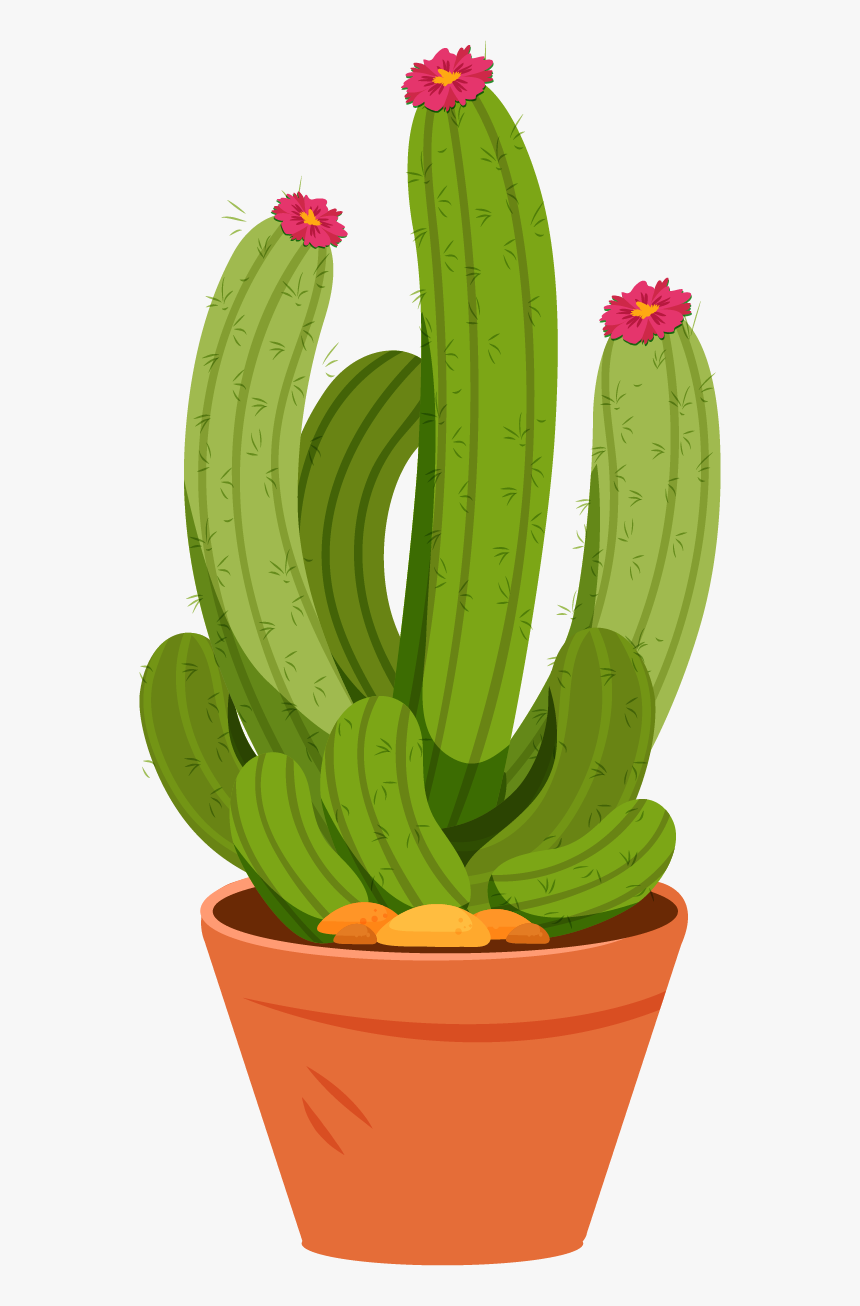 Flowerpot, HD Png Download
