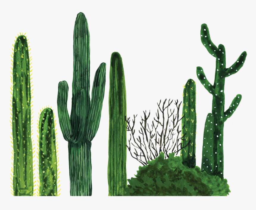 Painted Furniture Plants, HD Png Download