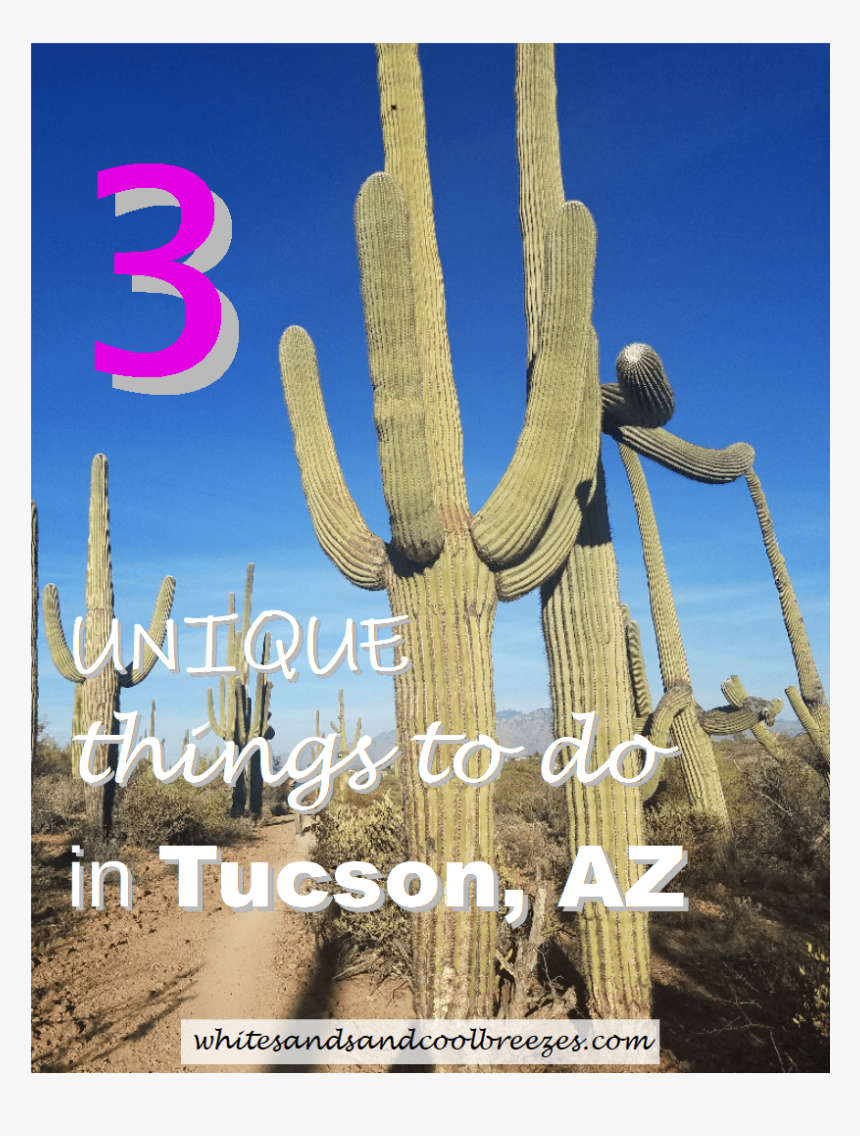 A Saguaro Cactus With Text Overlay 3 Unique Things, HD Png Download