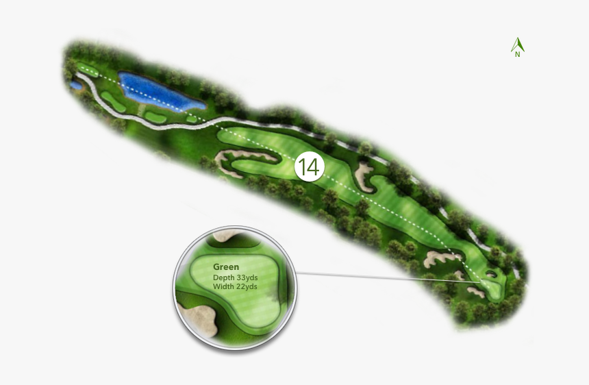 #14 - Welsh Onion, HD Png Download