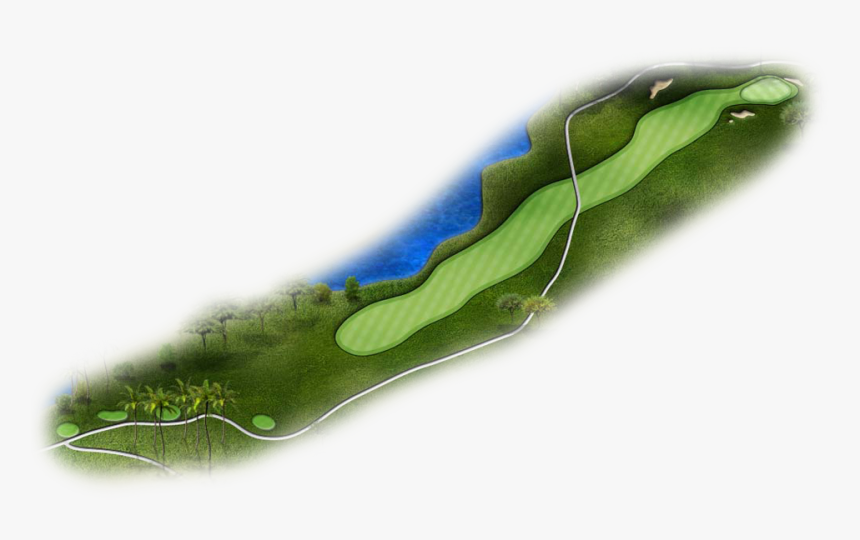 Grass, HD Png Download