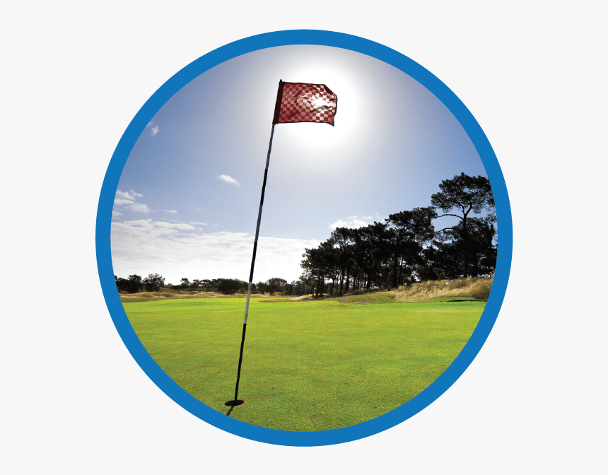 Grass, HD Png Download