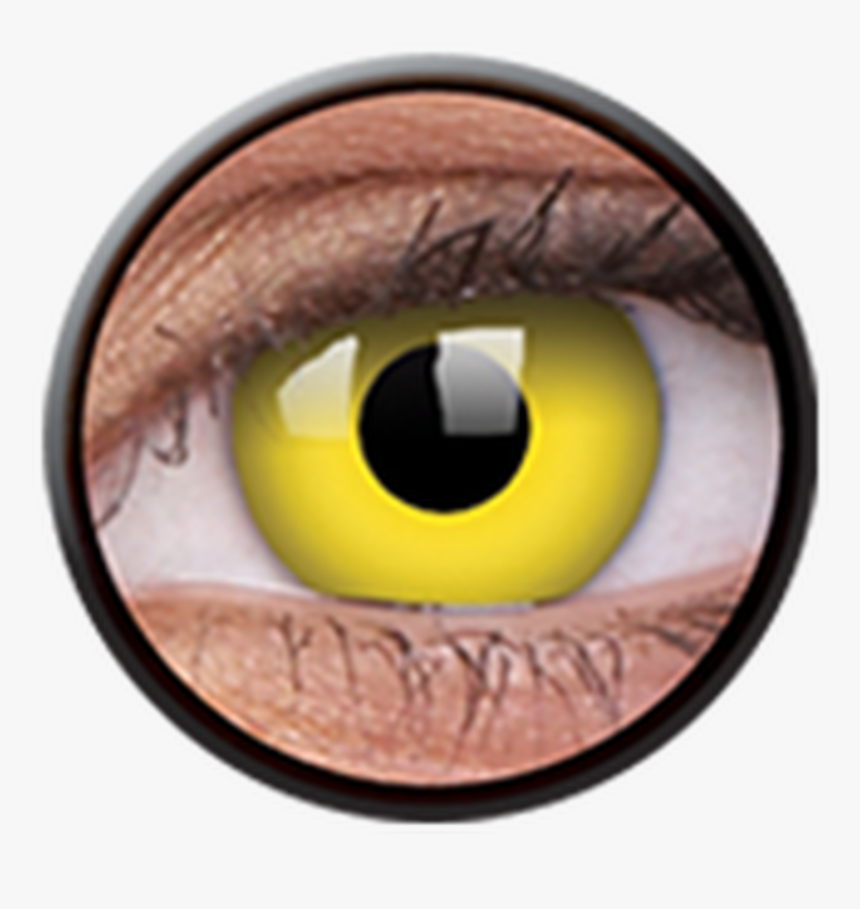 Contact Lenses, HD Png Download