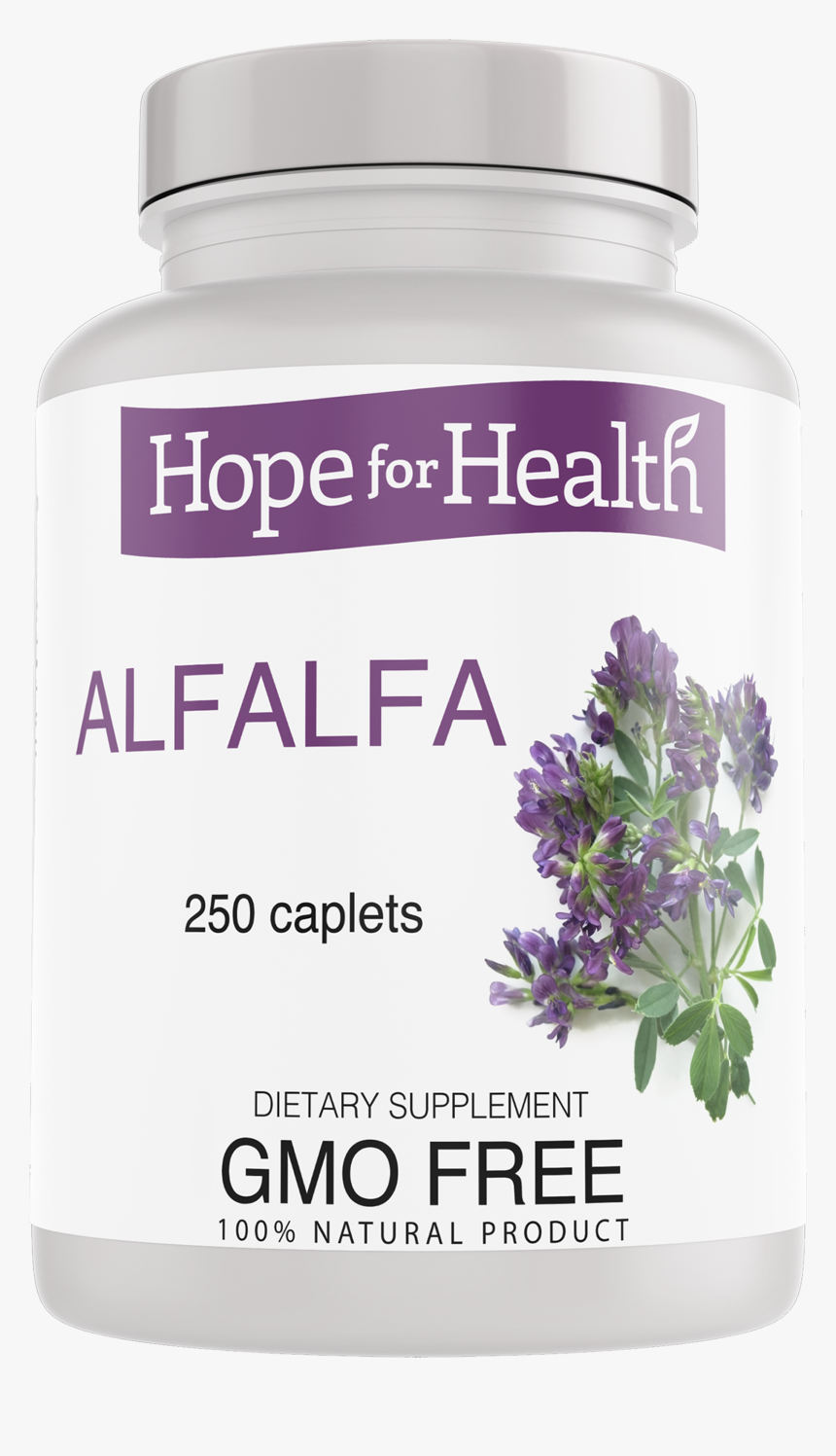 Animal Welfare League Queensland, HD Png Download