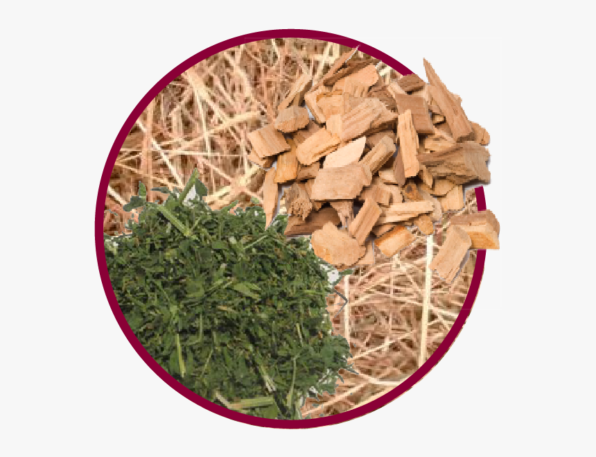 Chips Alfalfa Circle-01 - Grass, HD Png Download