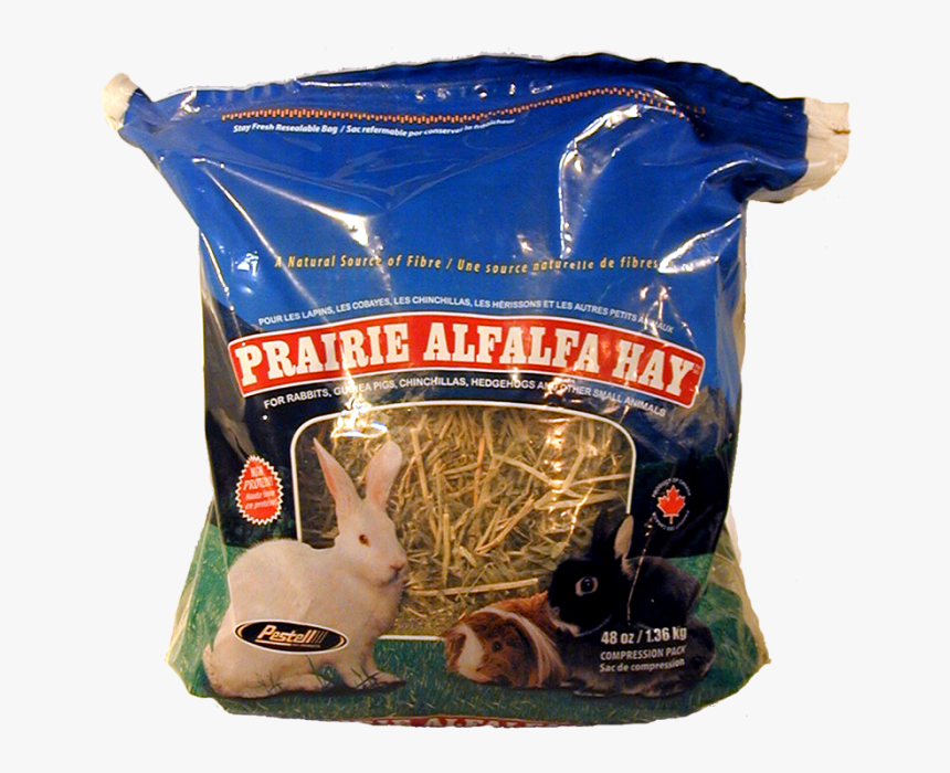 Domestic Rabbit, HD Png Download