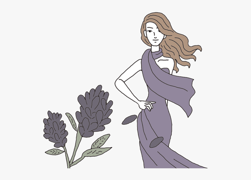 Alfalfa - Illustration, HD Png Download