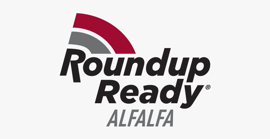 Canada Day, HD Png Download