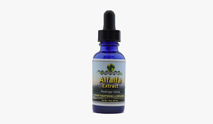 Nuspecies Alfalfa Extract - Blueberry, HD Png Download
