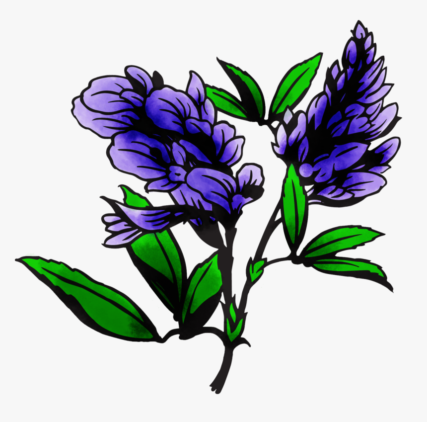 Image, HD Png Download