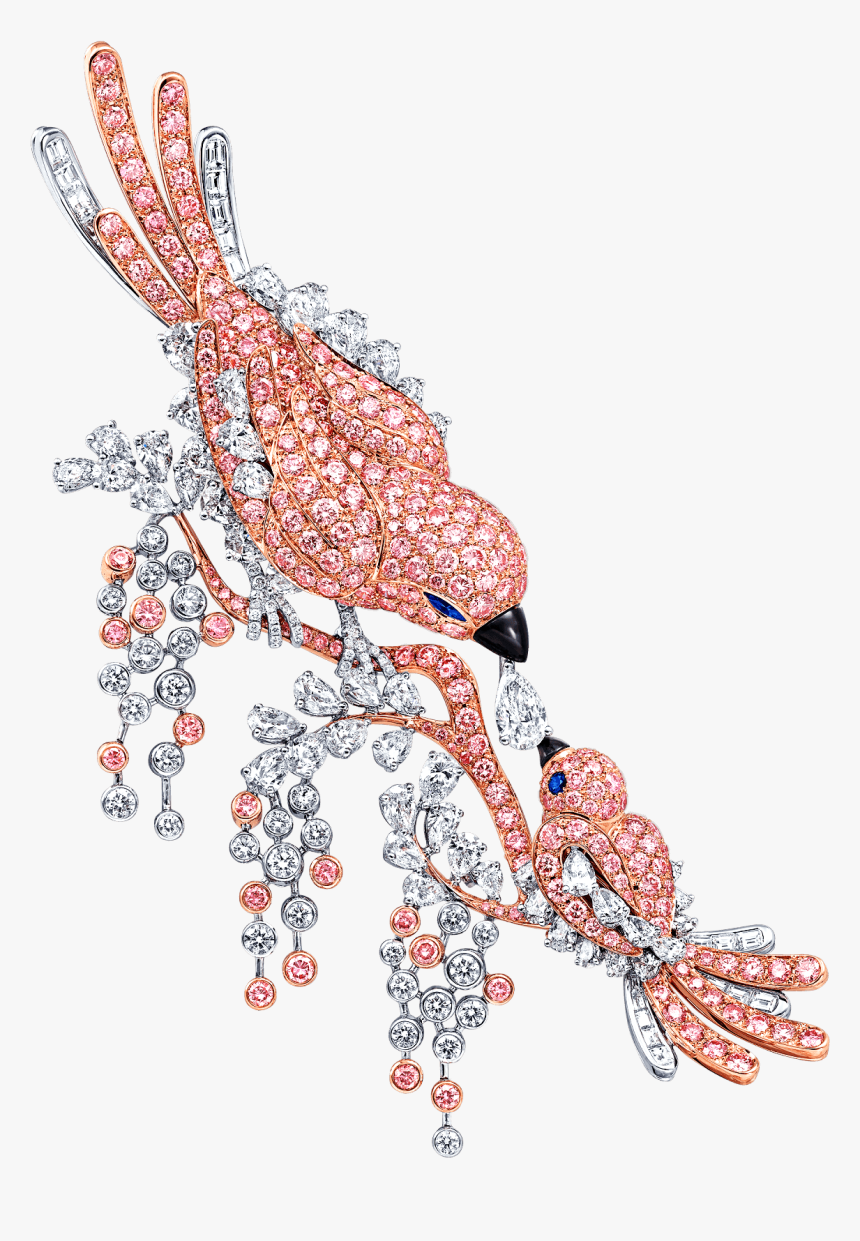 Transparent Cardinal Bird Png - Bird Graff, Png Download