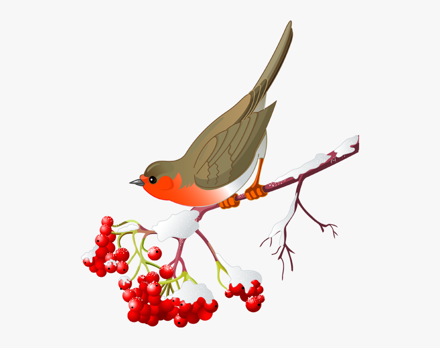 Clip Art Library Stock Berries Drawing Winter - Winter Birds Clipart, HD Png Download