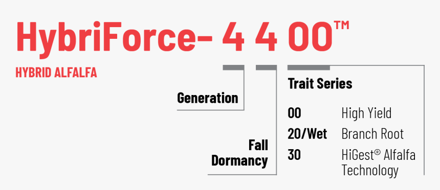 Number, HD Png Download