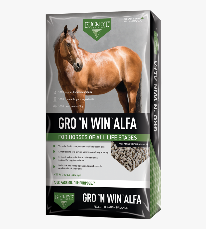 Buckeye Nutrition, HD Png Download