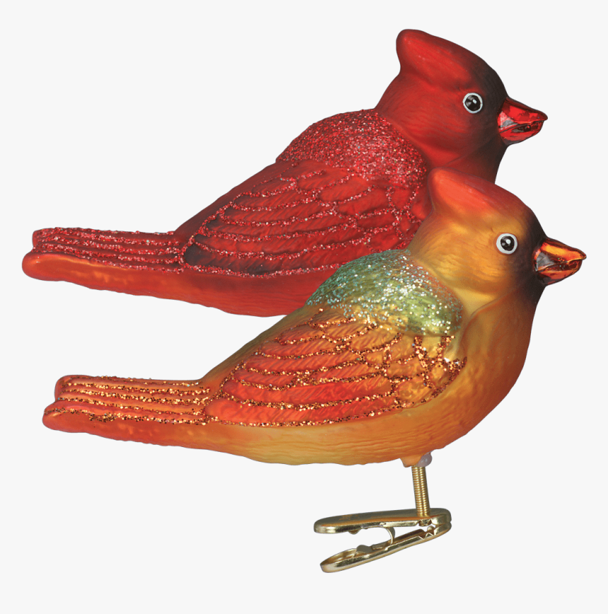Northern Cardinal, HD Png Download